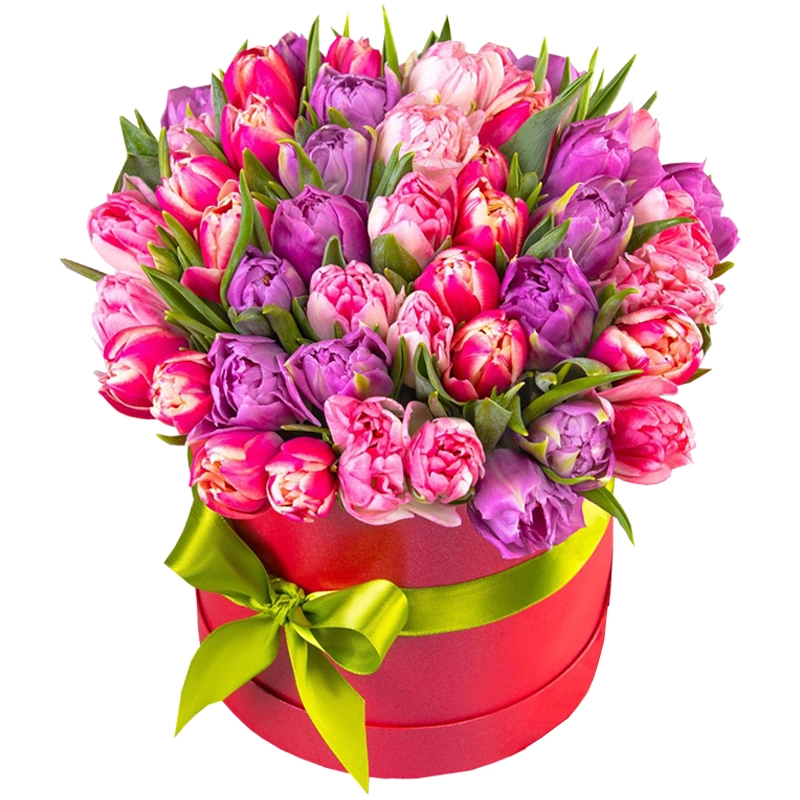 Бокс из 35 пионовидных тюльпанов