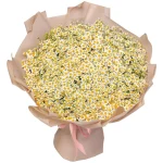 Букет из 101 кустовая ромашки